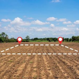 Real Estate Development